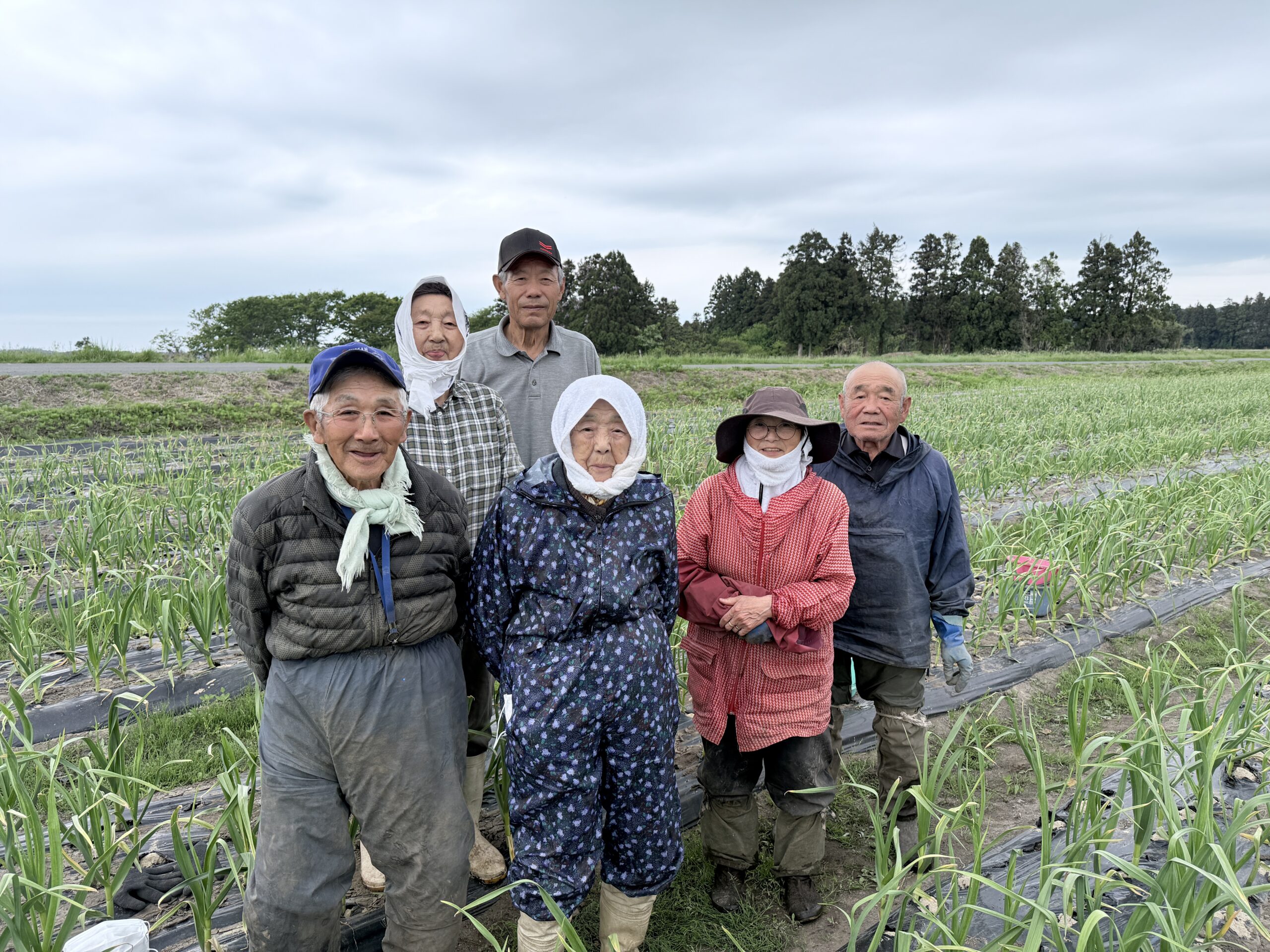 須田商事のみなさん（黒ニンニク畑にて）
